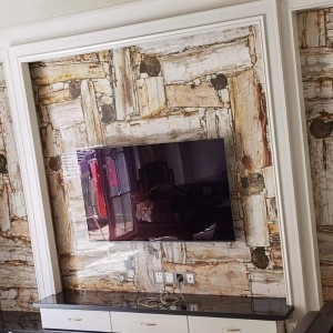 Petrified wood TV background wall